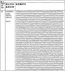 Figure BPA0000175368630000311