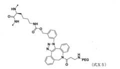 Figure JPOXMLDOC01-appb-C000101