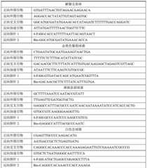 Figure BDA0003026995310000071