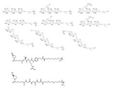 Figure imgf000023_0001