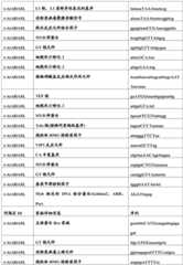 Figure BDA0001349734580004091