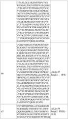 Figure BDA0003765517730000801