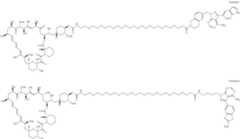 Figure US12048749-20240730-C00452