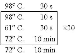 Figure US11618891-20230404-C00005