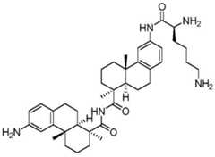 Figure BDA0002889616220002632