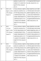 Figure imgf000036_0001