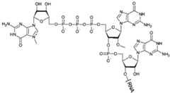 Figure imgf000041_0001