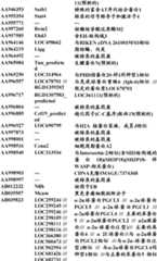 Figure BDA0000057170160000331