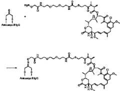 Figure imgf000025_0002