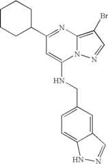 Figure US07119200-20061010-C01293