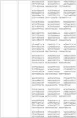 Figure BDA0002591526010000221