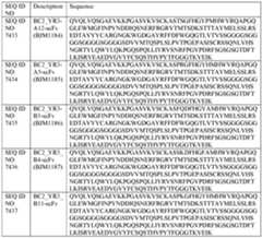 Figure imgf000072_0002