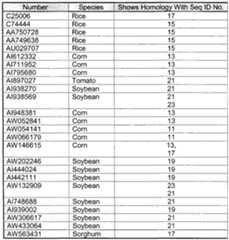 Figure imgf000050_0001