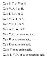 Figure imgf000125_0002