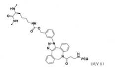 Figure JPOXMLDOC01-appb-C000132