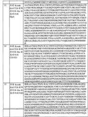 Figure BPA0000175368630000301