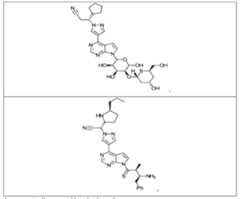 Figure imgf000067_0002