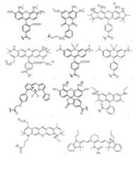 Figure imgf000141_0001