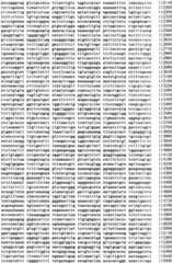 Figure IPA0000293710130000341