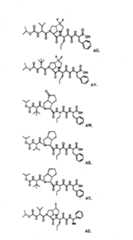 Figure BSA00000606821200711