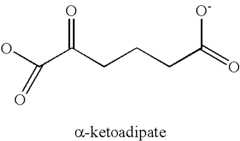 Figure US08192976-20120605-C00018