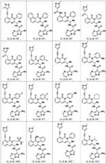 Figure BDA0003142399140001361