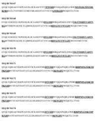 Figure imgf000033_0001