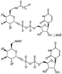 Figure imgf000040_0002