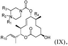 Figure BDA0002808063770000321