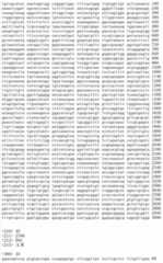 Figure IDA00002091897100571