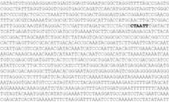 Figure US11873499-20240116-C00021