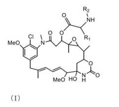 Figure 2022068367000035