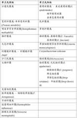 Figure DEST_PATH_IMAGE004