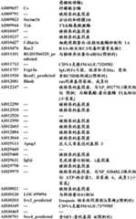 Figure BDA0000057170160000851