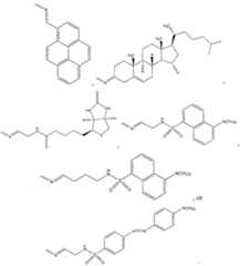 Figure imgf000055_0001