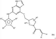 Figure BDA0000479984280000091