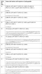 Figure imgf000101_0001