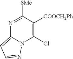 Figure US07067520-20060627-C00165