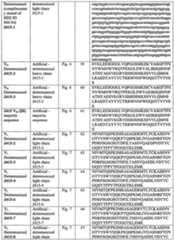 Figure imgf000037_0001