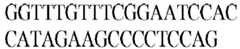 Figure imgb0518