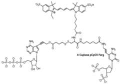 Figure imgf000779_0001