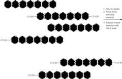 Figure US12111321-20241008-C00122