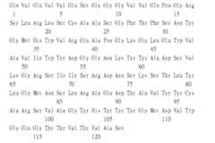 Figure 109115264-A0305-02-0361-508