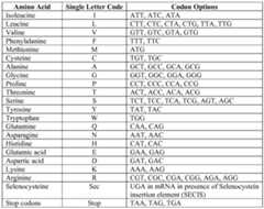 Figure imgf000078_0001