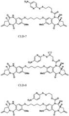 Figure imgf000160_0001