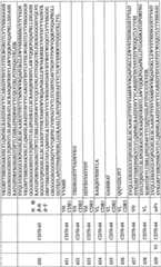 Figure BPA0000256061330002161