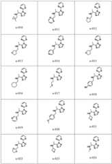 Figure FDA0002782806520000321