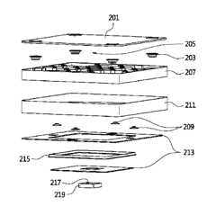 Figure 2022543404000001