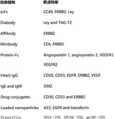 Figure BSA0000226027450000101