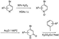 Figure imgf000262_0001